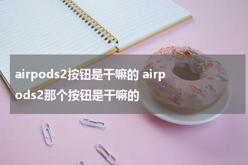 airpods2按钮是干嘛的 airpods2那个按钮是干嘛的