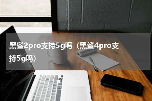 黑鲨2pro支持5g吗（黑鲨4pro支持5g吗）