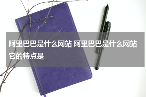 阿里巴巴是什么网站 阿里巴巴是什么网站它的特点是