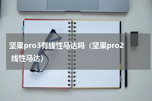 坚果pro3有线性马达吗（坚果pro2 线性马达）