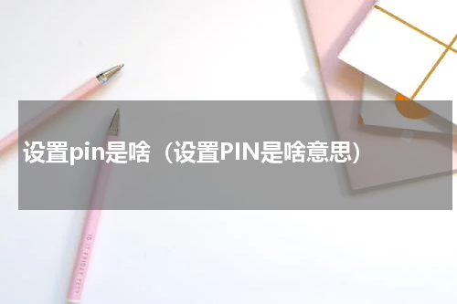 设置pin是啥（设置PIN是啥意思）