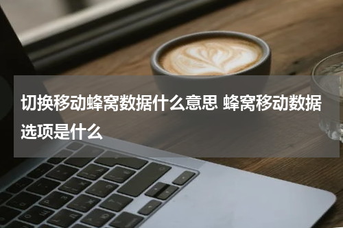 切换移动蜂窝数据什么意思 蜂窝移动数据选项是什么