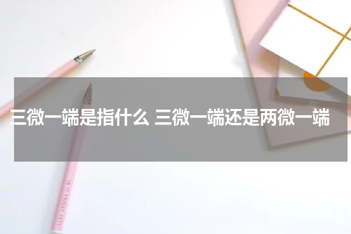 三微一端是指什么 三微一端还是两微一端