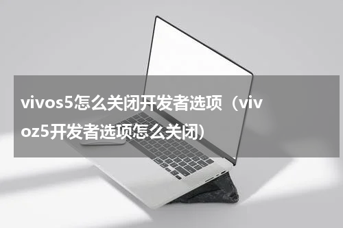 vivos5怎么关闭开发者选项（vivoz5开发者选项怎么关闭）