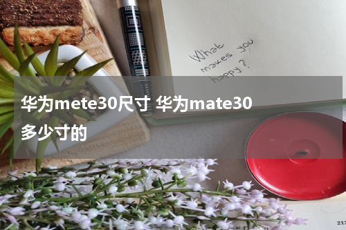 华为mete30尺寸 华为mate30多少寸的