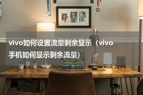 vivo如何设置流量剩余显示（vivo手机如何显示剩余流量）
