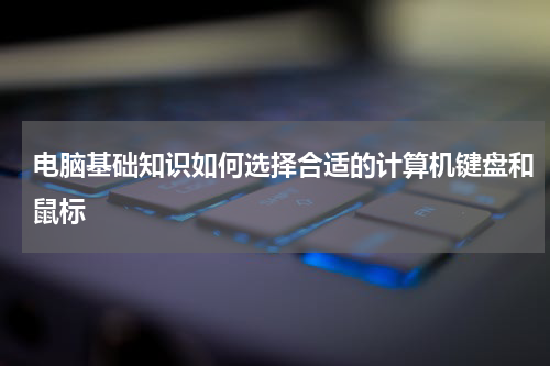 电脑基础知识如何选择合适的计算机键盘和鼠标