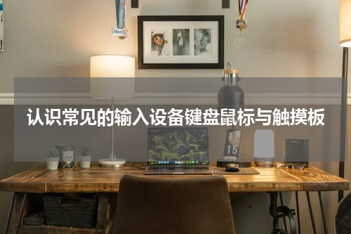认识常见的输入设备键盘鼠标与触摸板