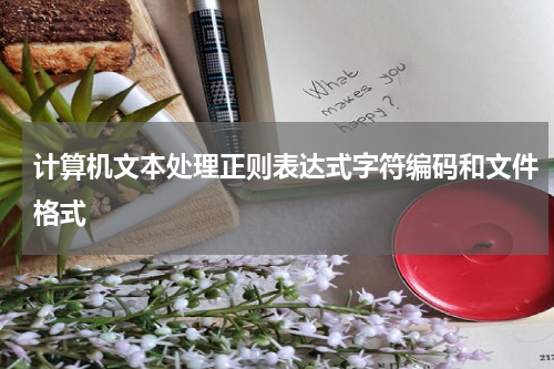 计算机文本处理正则表达式字符编码和文件格式