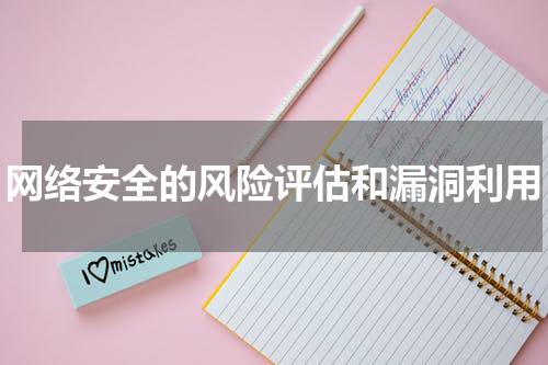 网络安全的风险评估和漏洞利用