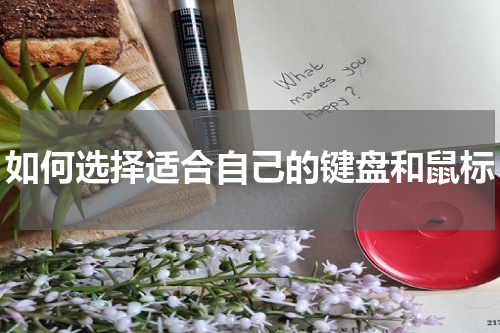 如何选择适合自己的键盘和鼠标