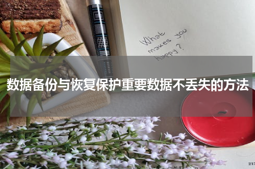 数据备份与恢复保护重要数据不丢失的方法