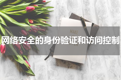 网络安全的身份验证和访问控制