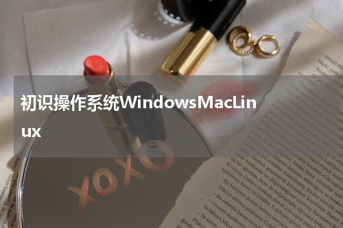初识操作系统WindowsMacLinux