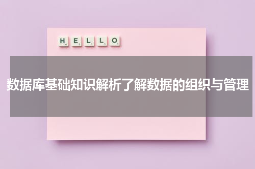 数据库基础知识解析了解数据的组织与管理