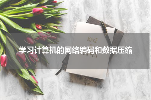 学习计算机的网络编码和数据压缩
