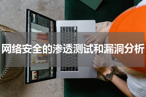 网络安全的渗透测试和漏洞分析