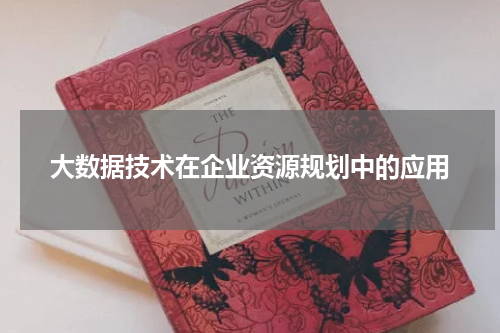 大数据技术在企业资源规划中的应用