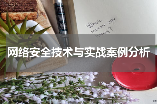 网络安全技术与实战案例分析