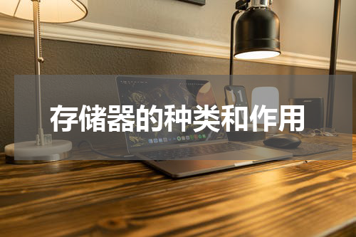 存储器的种类和作用