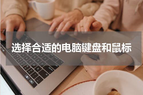 选择合适的电脑键盘和鼠标