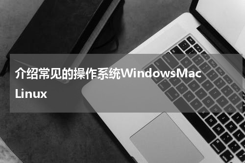 介绍常见的操作系统WindowsMacLinux