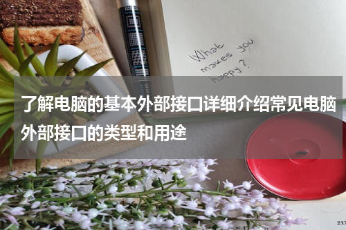 了解电脑的基本外部接口详细介绍常见电脑外部接口的类型和用途