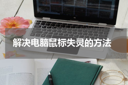  解决电脑鼠标失灵的方法