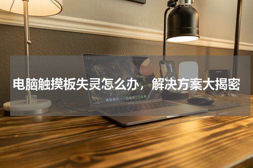 电脑触摸板失灵怎么办，解决方案大揭密