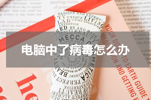 电脑中了病毒怎么办