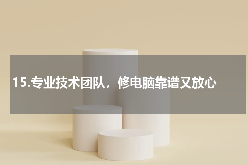 15.专业技术团队，修电脑靠谱又放心