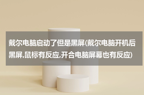 戴尔电脑启动了但是黑屏(戴尔电脑开机后黑屏,鼠标有反应,开合电脑屏幕也有反应)