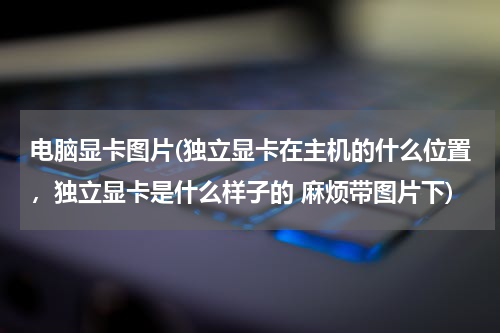 电脑显卡图片(独立显卡在主机的什么位置，独立显卡是什么样子的 麻烦带图片下)