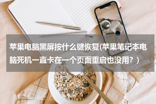 苹果电脑黑屏按什么键恢复(苹果笔记本电脑死机一直卡在一个页面重启也没用？)