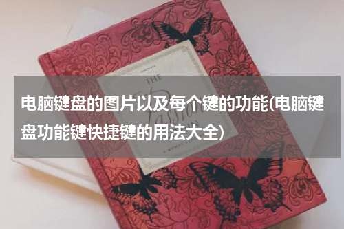 电脑键盘的图片以及每个键的功能(电脑键盘功能键快捷键的用法大全)