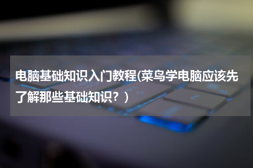 电脑基础知识入门教程(菜鸟学电脑应该先了解那些基础知识？)