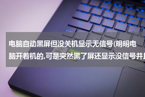 电脑自动黑屏但没关机显示无信号(明明电脑开着机的,可是突然黑了屏还显示没信号并且还无法启动,这一般是什么原因造成?)