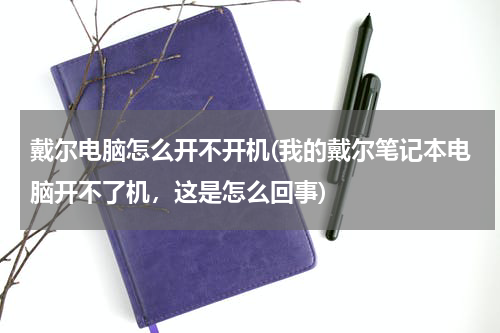 戴尔电脑怎么开不开机(我的戴尔笔记本电脑开不了机，这是怎么回事)