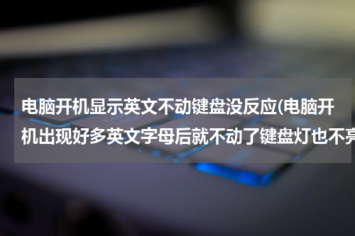电脑开机显示英文不动键盘没反应(电脑开机出现好多英文字母后就不动了键盘灯也不亮怎么办)