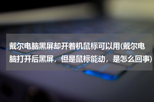 戴尔电脑黑屏却开着机鼠标可以用(戴尔电脑打开后黑屏，但是鼠标能动，是怎么回事)