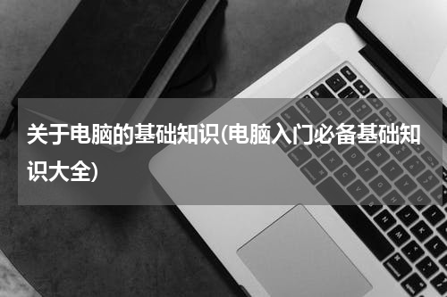 关于电脑的基础知识(电脑入门必备基础知识大全)