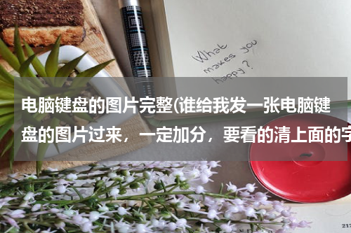 电脑键盘的图片完整(谁给我发一张电脑键盘的图片过来，一定加分，要看的清上面的字母分两张拍也行。)