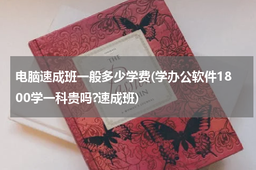 电脑速成班一般多少学费(学办公软件1800学一科贵吗?速成班)