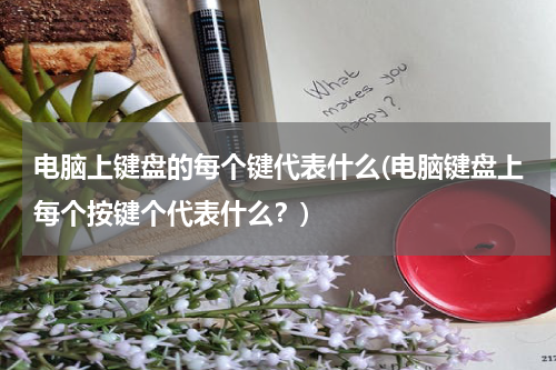 电脑上键盘的每个键代表什么(电脑键盘上每个按键个代表什么？)