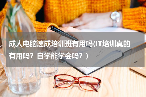 成人电脑速成培训班有用吗(IT培训真的有用吗？自学能学会吗？)