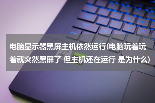 电脑显示器黑屏主机依然运行(电脑玩着玩着就突然黑屏了 但主机还在运行 是为什么)