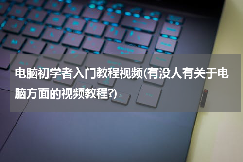 电脑初学者入门教程视频(有没人有关于电脑方面的视频教程?)