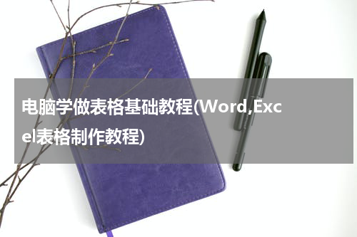 电脑学做表格基础教程(Word,Excel表格制作教程)