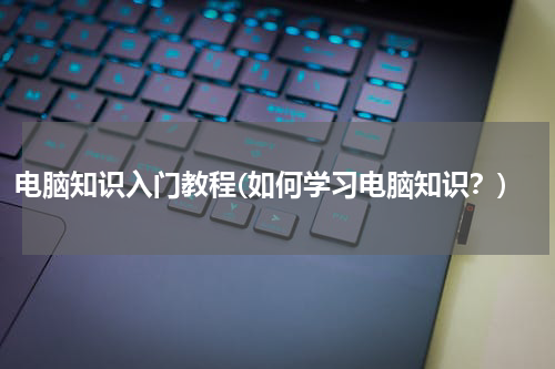 电脑知识入门教程(如何学习电脑知识？)