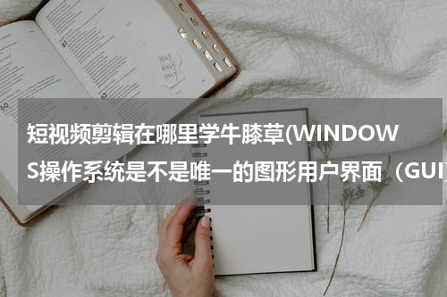 短视频剪辑在哪里学牛膝草(WINDOWS操作系统是不是唯一的图形用户界面（GUI）操作系统。)
